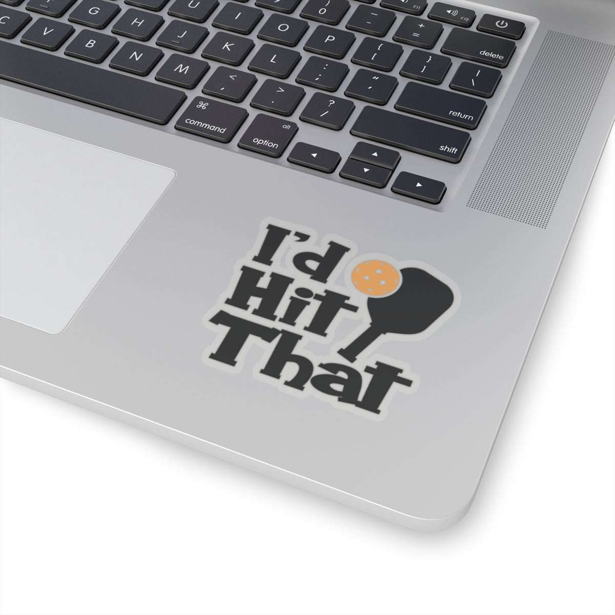 Pickleball Quirky Stickers - I'd Hit That