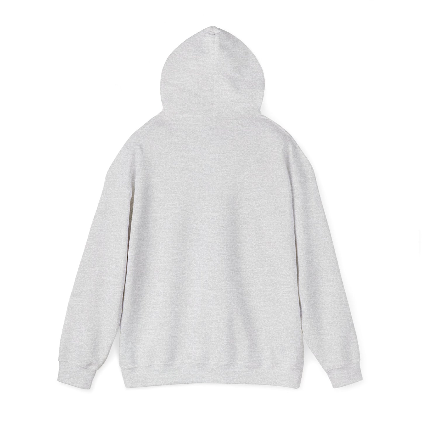Men's Durable Pickleball Hoodie - Paddles and Ball