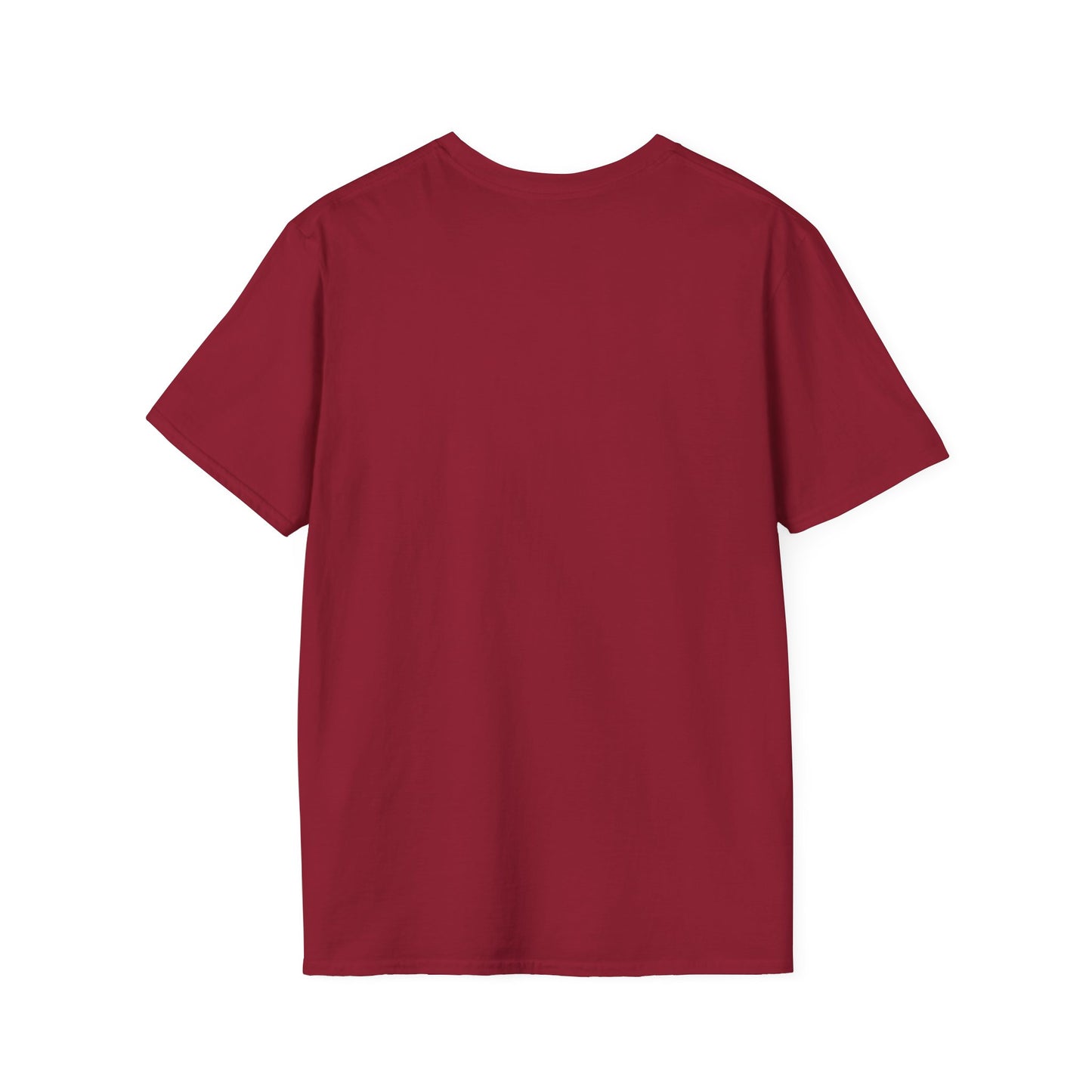 Women's Playful Pickleball T-shirt - There's No Crying in Pickleball