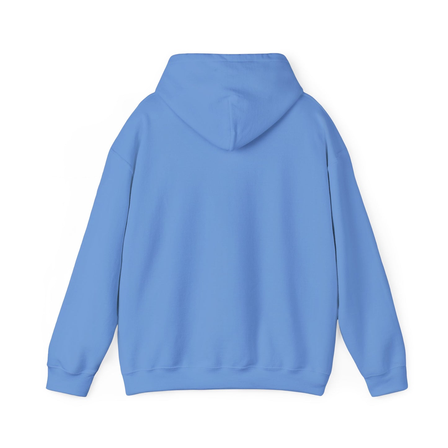 Men's Trendy Pickleball Hoodie - Dink On