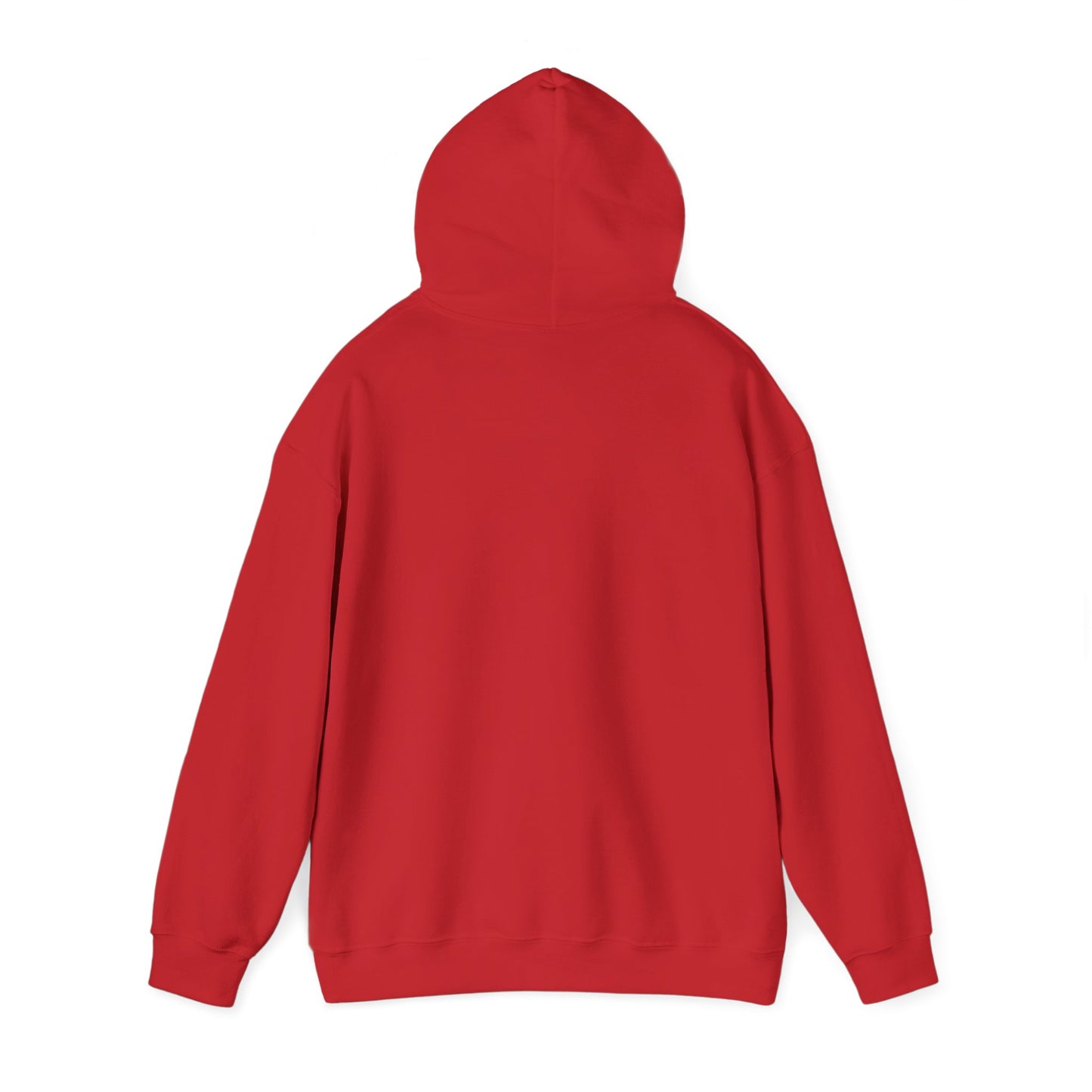 Men's Lightweight Pickleball Hoodie - Pickleball King