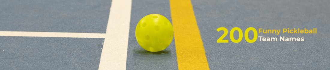 200 Funny Pickleball Team Name