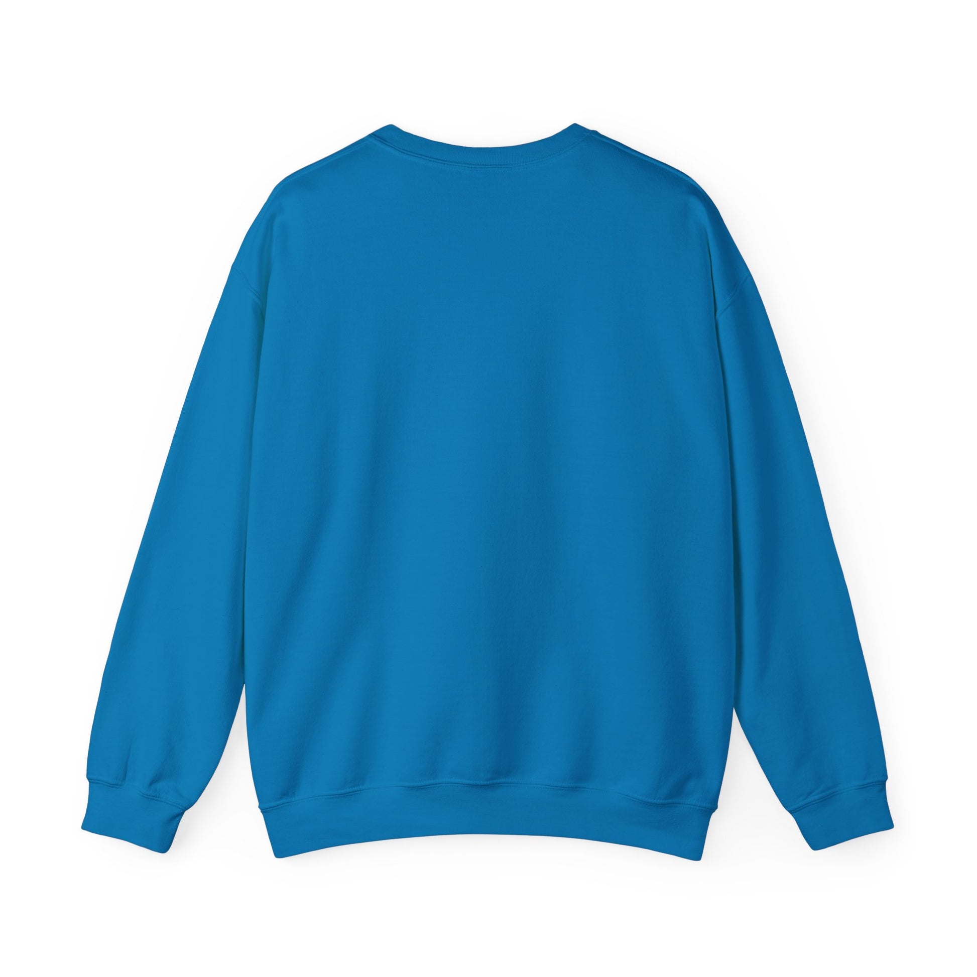 Men's Durable Pickleball Sweatshirt - Paddle Up