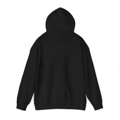 Men's Funny Pickleball Hoodie - I Love My Wife More Than Pickleball