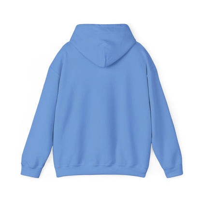 Men's Comfy Pickleball Hoodie - Slow Pickleball Days