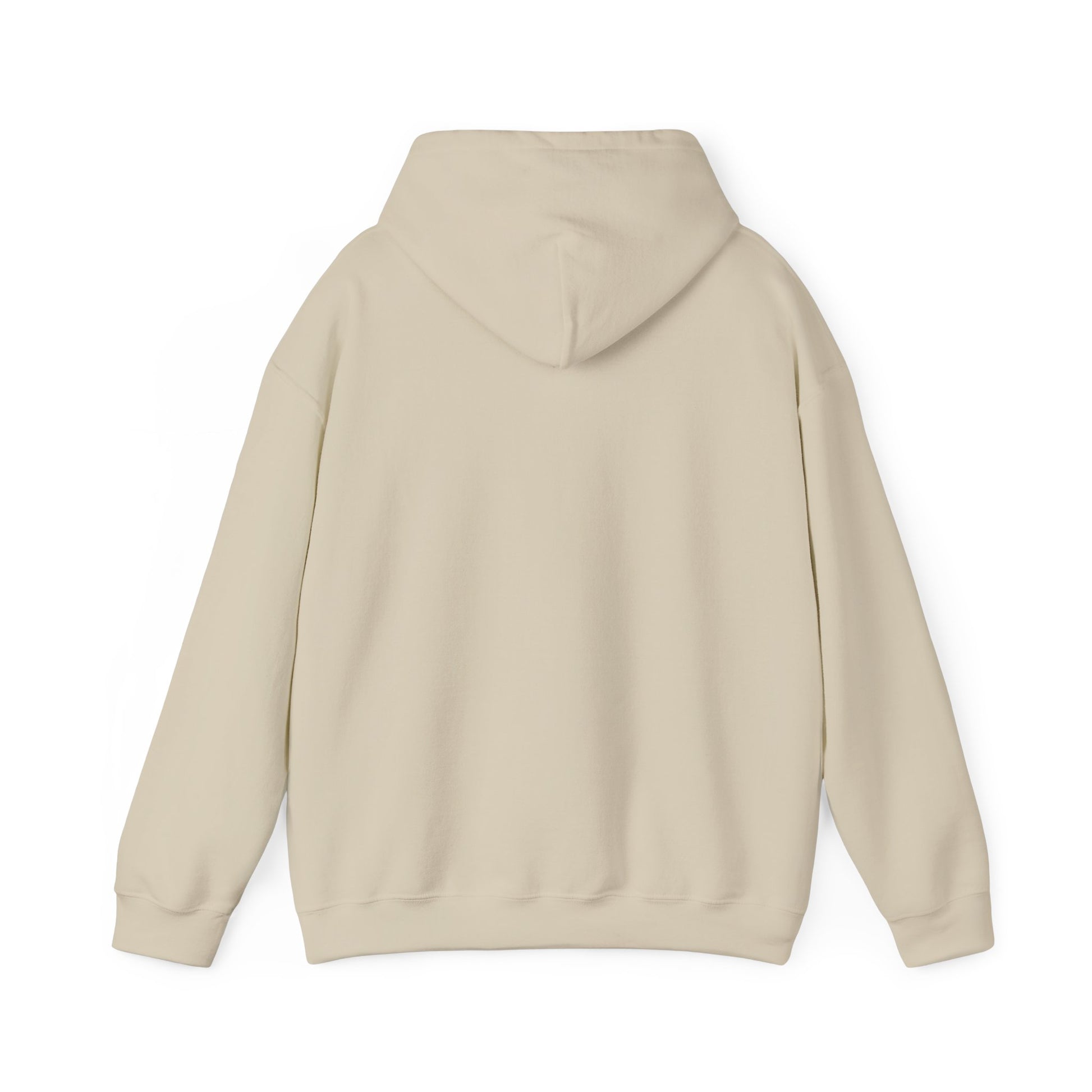 Men's Soft Pickleball Hoodie - Paddle Up