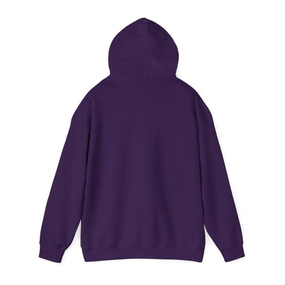 Men's Cool Pickleball Hoodie - Pickle Baller