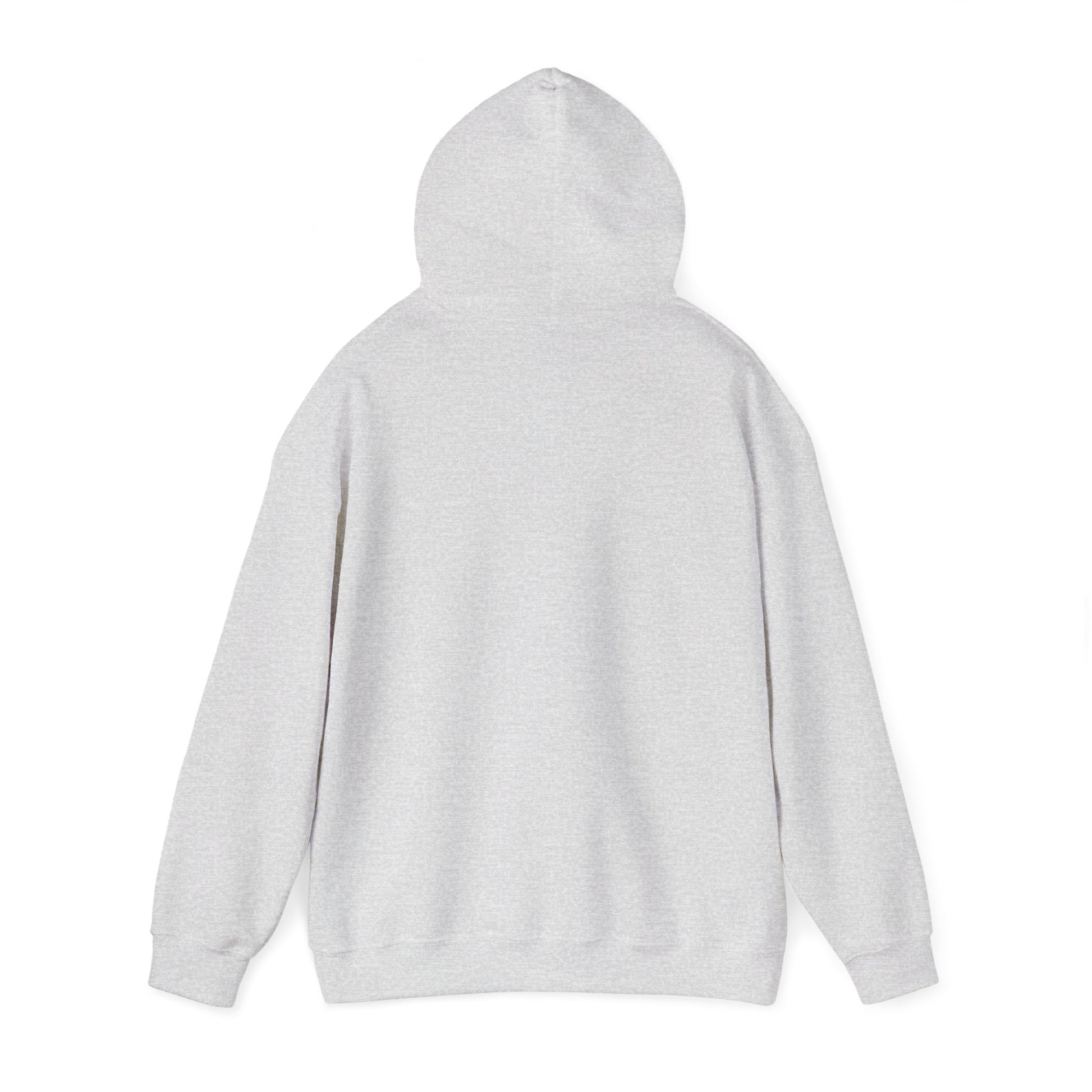 Men's Durable Pickleball Hoodie - Paddles and Ball