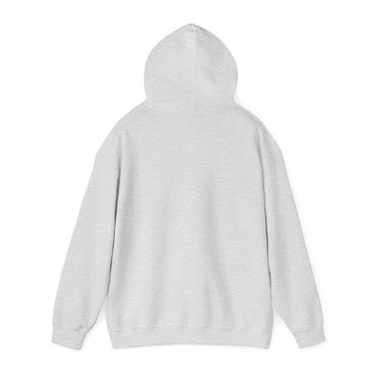 Men's Durable Pickleball Hoodie - Paddles and Ball