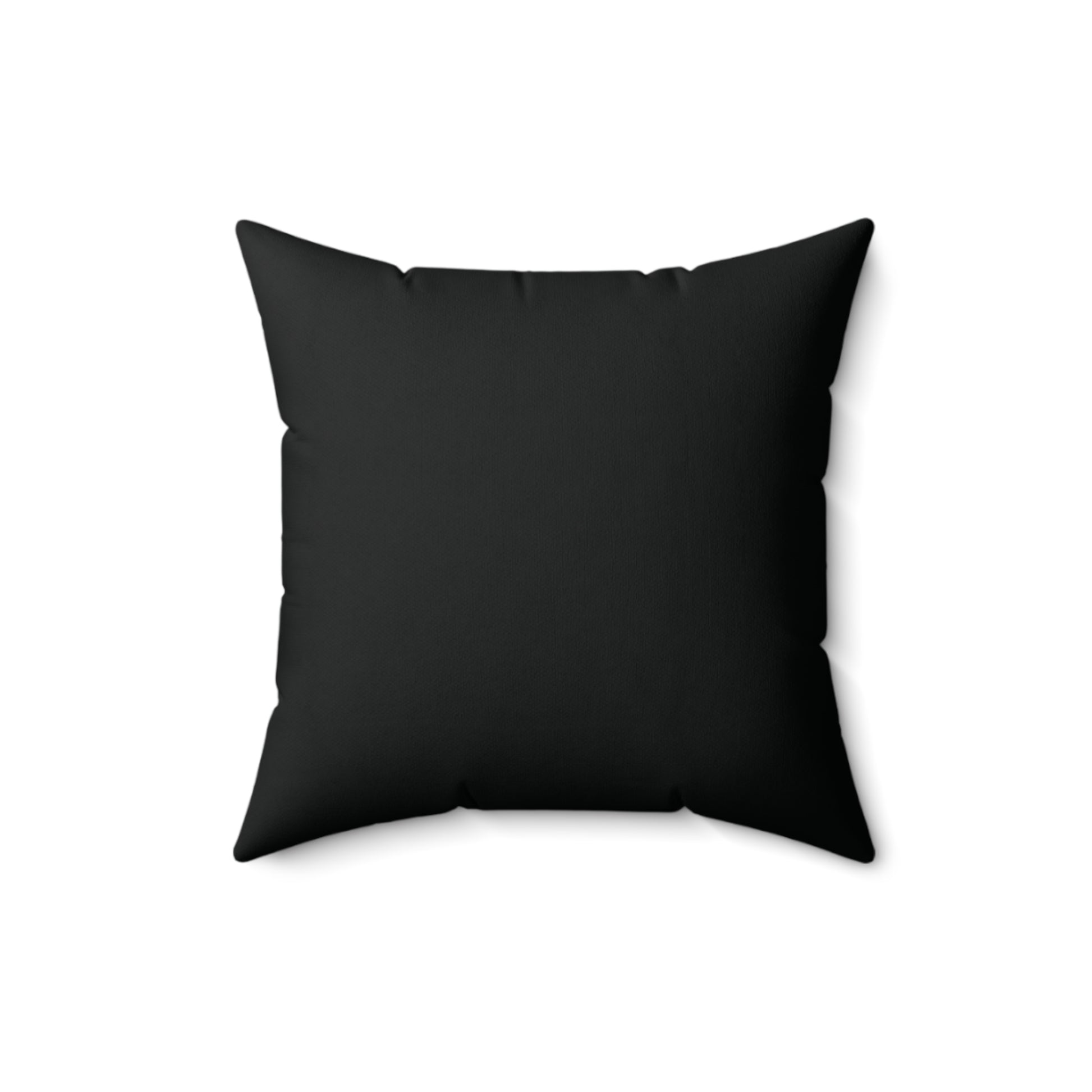 Pickleball Funny Pillow - What the Heck Is Pickleball?