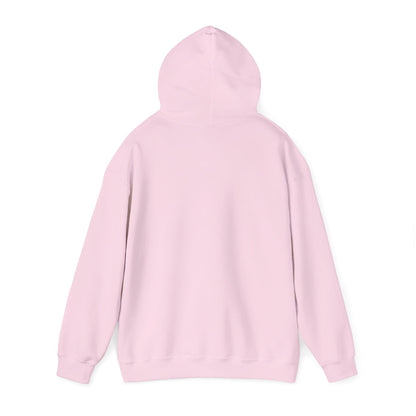 Women's Stylish Pickleball Hoodie - Pickleball Squad