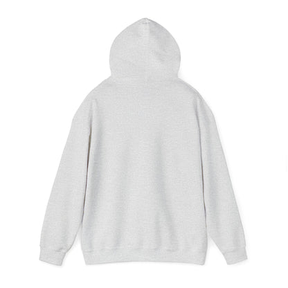 Men's Hilarious Pickleball Hoodie - Pickleball is My Favorite Season
