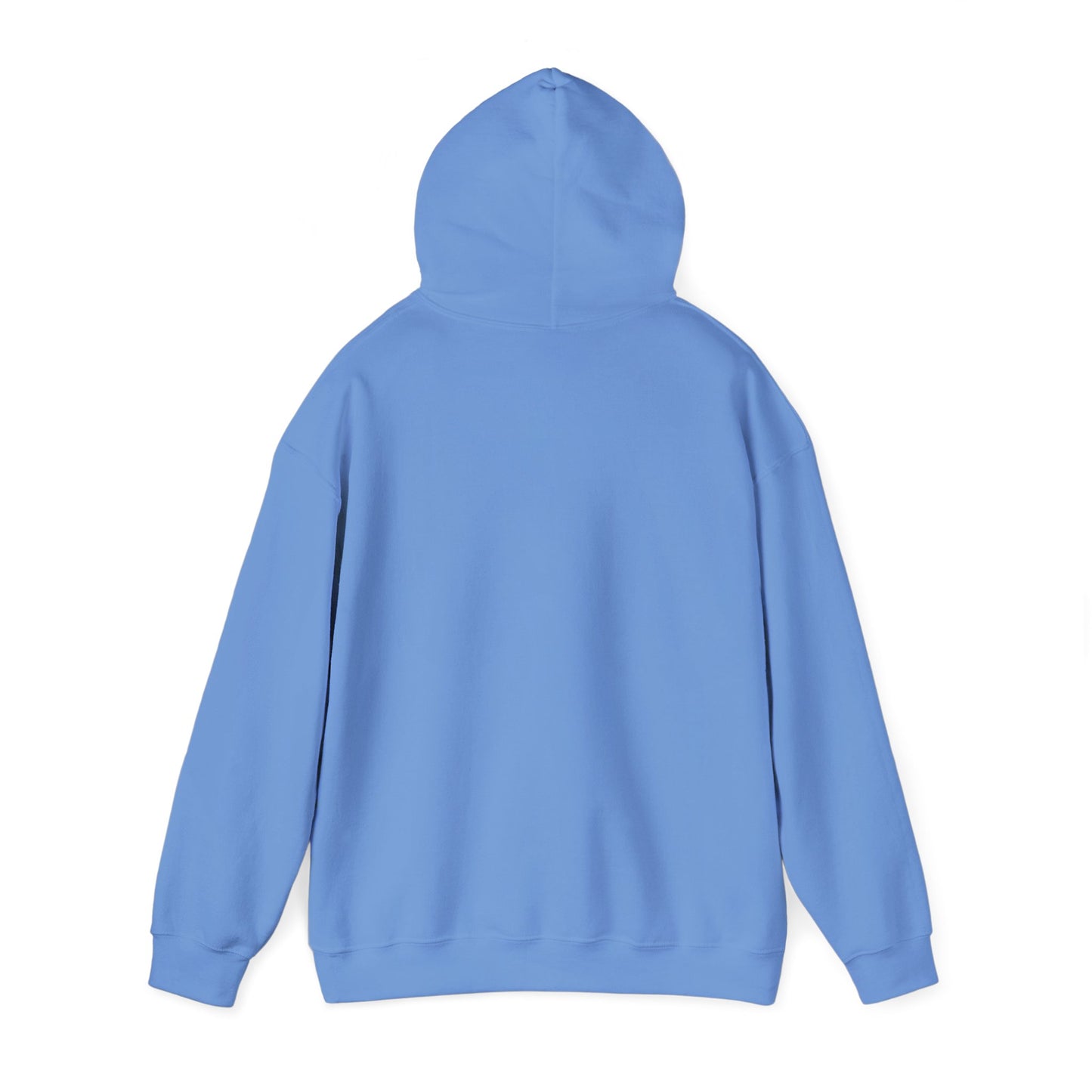 Men's Comfy Pickleball Hoodie - Slow Pickleball Days