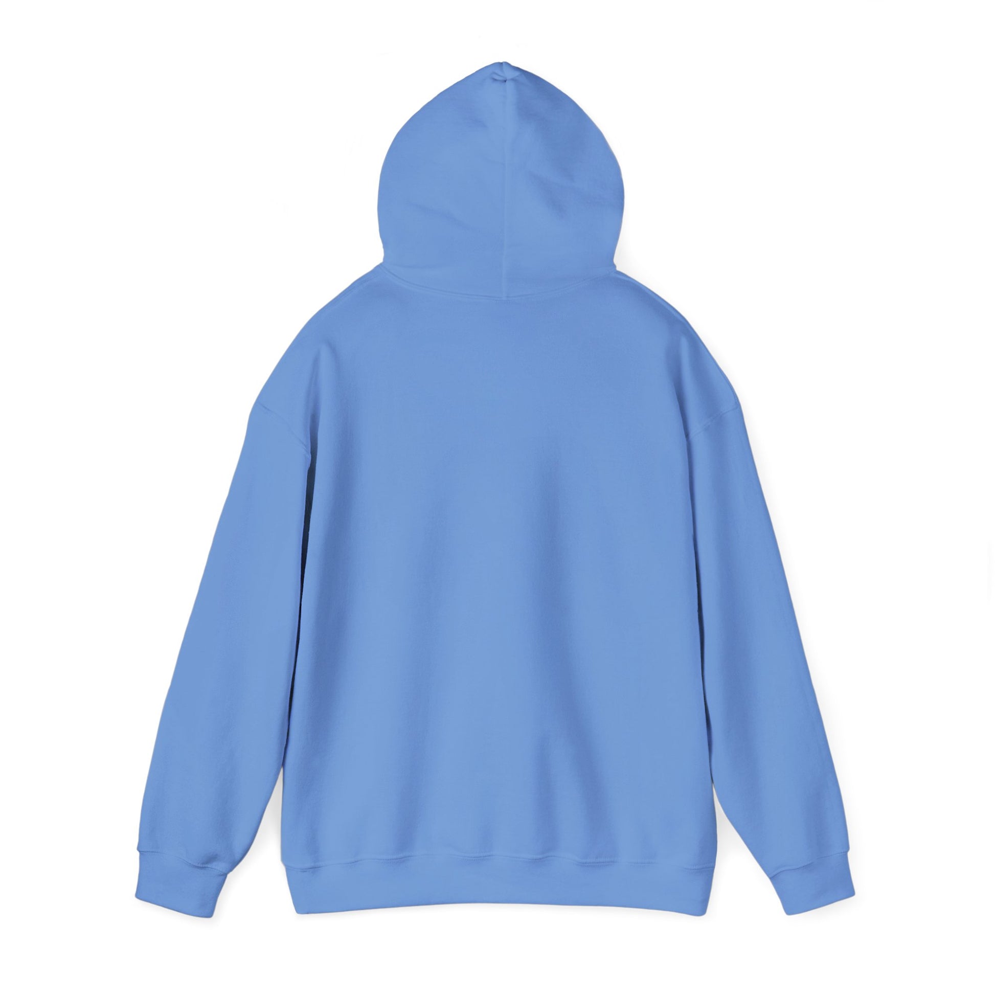 Men's Comfy Pickleball Hoodie - Slow Pickleball Days