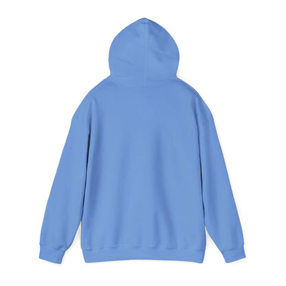 Men's Comfy Pickleball Hoodie - Slow Pickleball Days