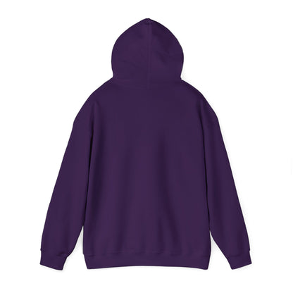 Men's Unique Pickleball Hoodie - Pickleball Make Life Better