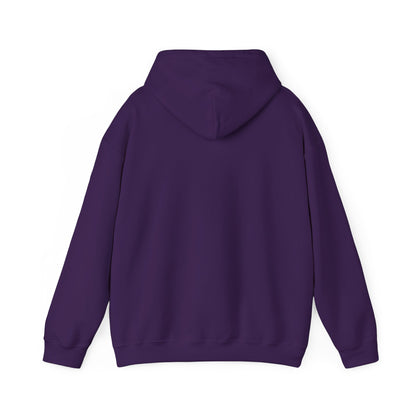 Men's Funny Pickleball Hoodie - I Love My Wife More Than Pickleball