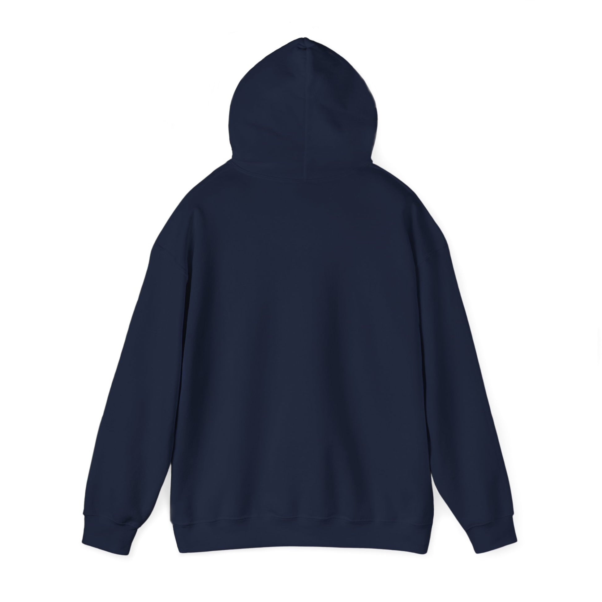 Men's Funny Pickleball Hoodie - King Of The Pickleball Court Retro
