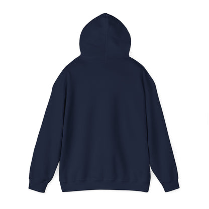 Men's Funny Pickleball Hoodie - King Of The Pickleball Court Retro