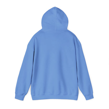 Men's Stylish Pickleball Hoodie - Game On