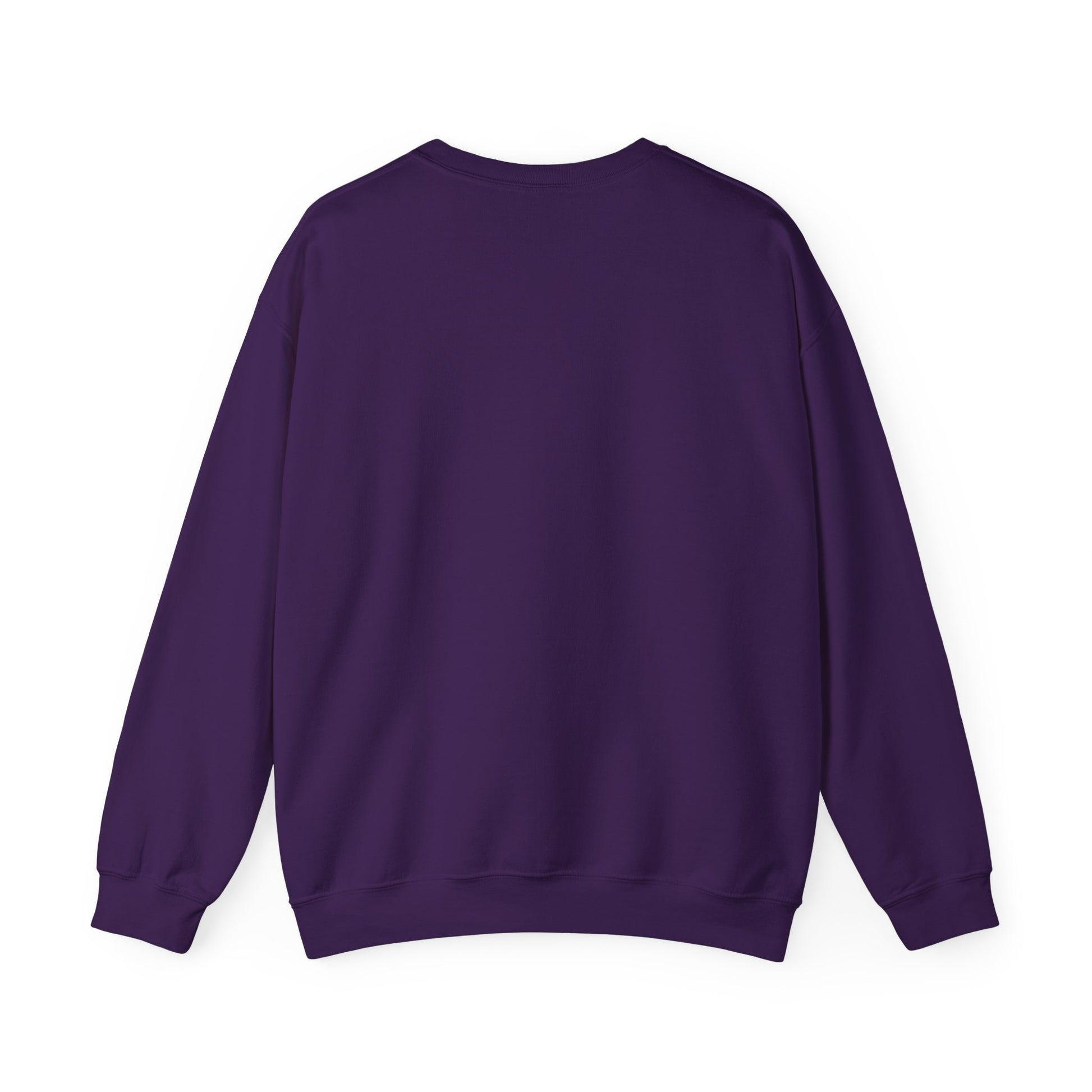 Men's Durable Pickleball Sweatshirt - Just One More Game I Promise