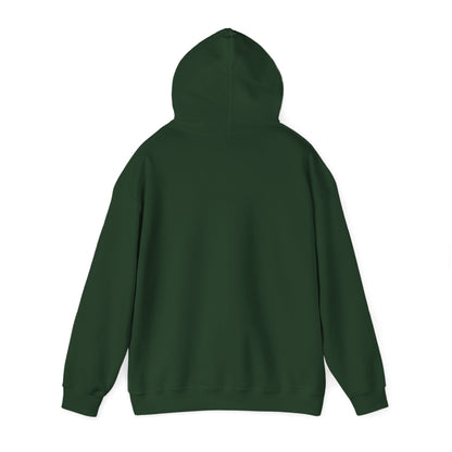 Men's Cool Pickleball Hoodie - Pickle Baller