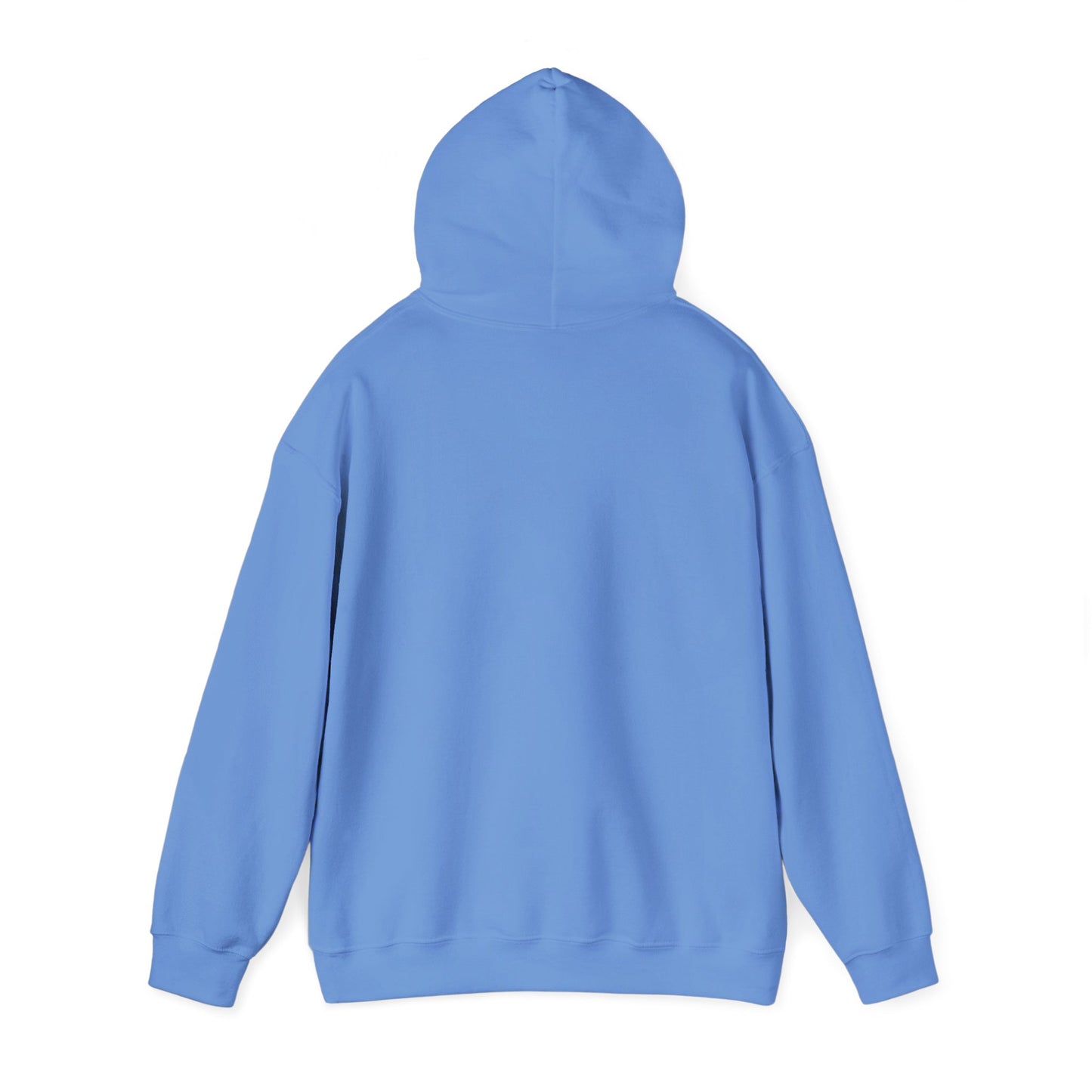 Men's Trendy Pickleball Hoodie - Dink On