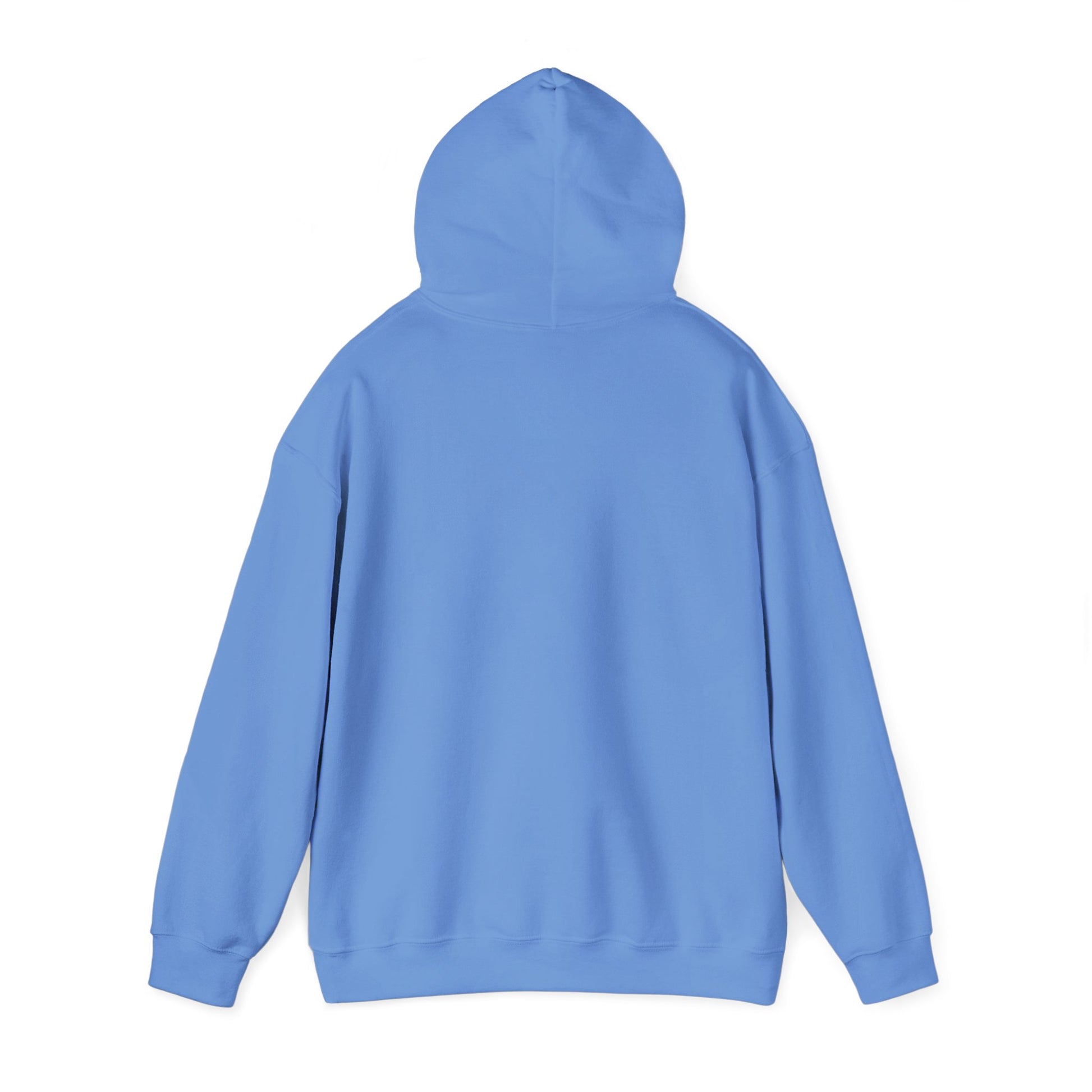 Men's Trendy Pickleball Hoodie - Dink On