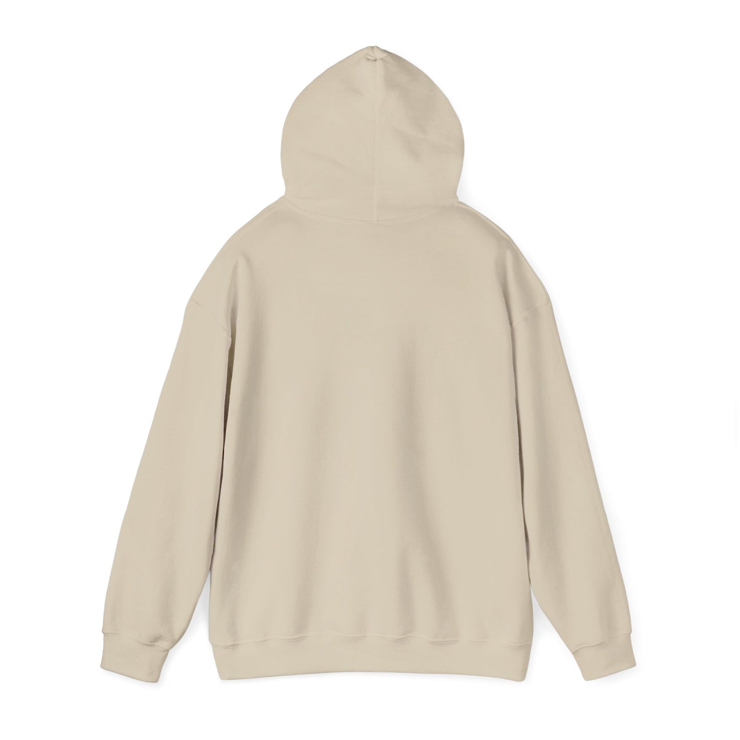 Men's Comfy Pickleball Hoodie - Slow Pickleball Days