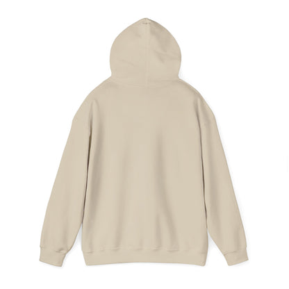 Men's Comfy Pickleball Hoodie - Slow Pickleball Days