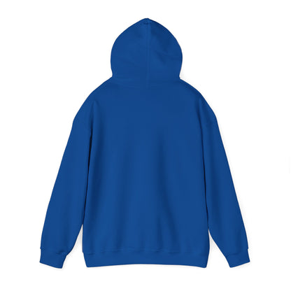 Men's Cool Pickleball Hoodie - Pickle Baller