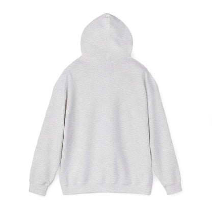 Men's Trendy Pickleball Hoodie - Dink On