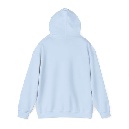Women's Soft Pickleball Hoodie - Love Pickleball