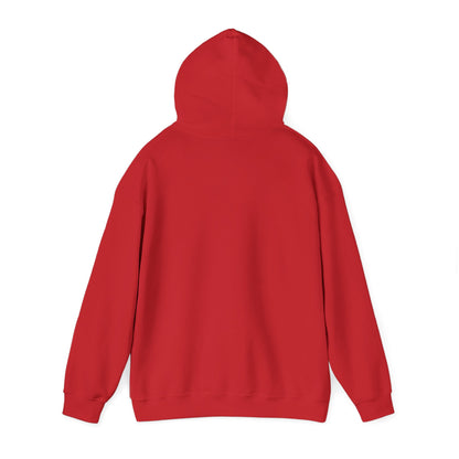 Women's Stylish Pickleball Hoodie - Pickleball Squad