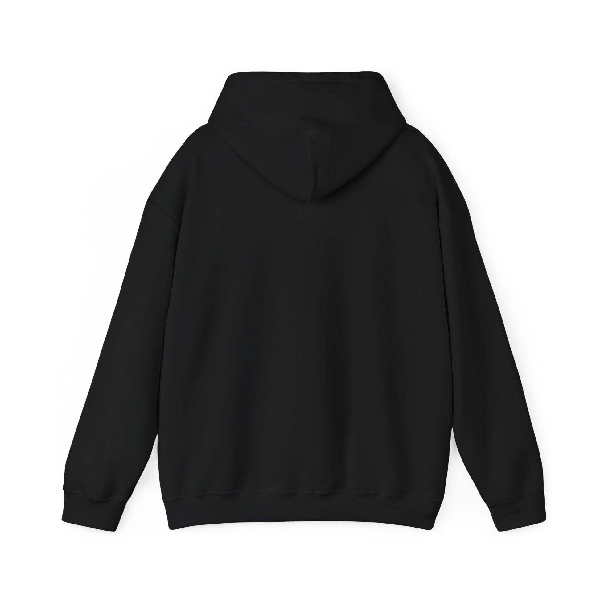 Men's Cool Pickleball Hoodie - Pickle Baller