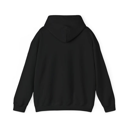 Men's Cool Pickleball Hoodie - Pickle Baller