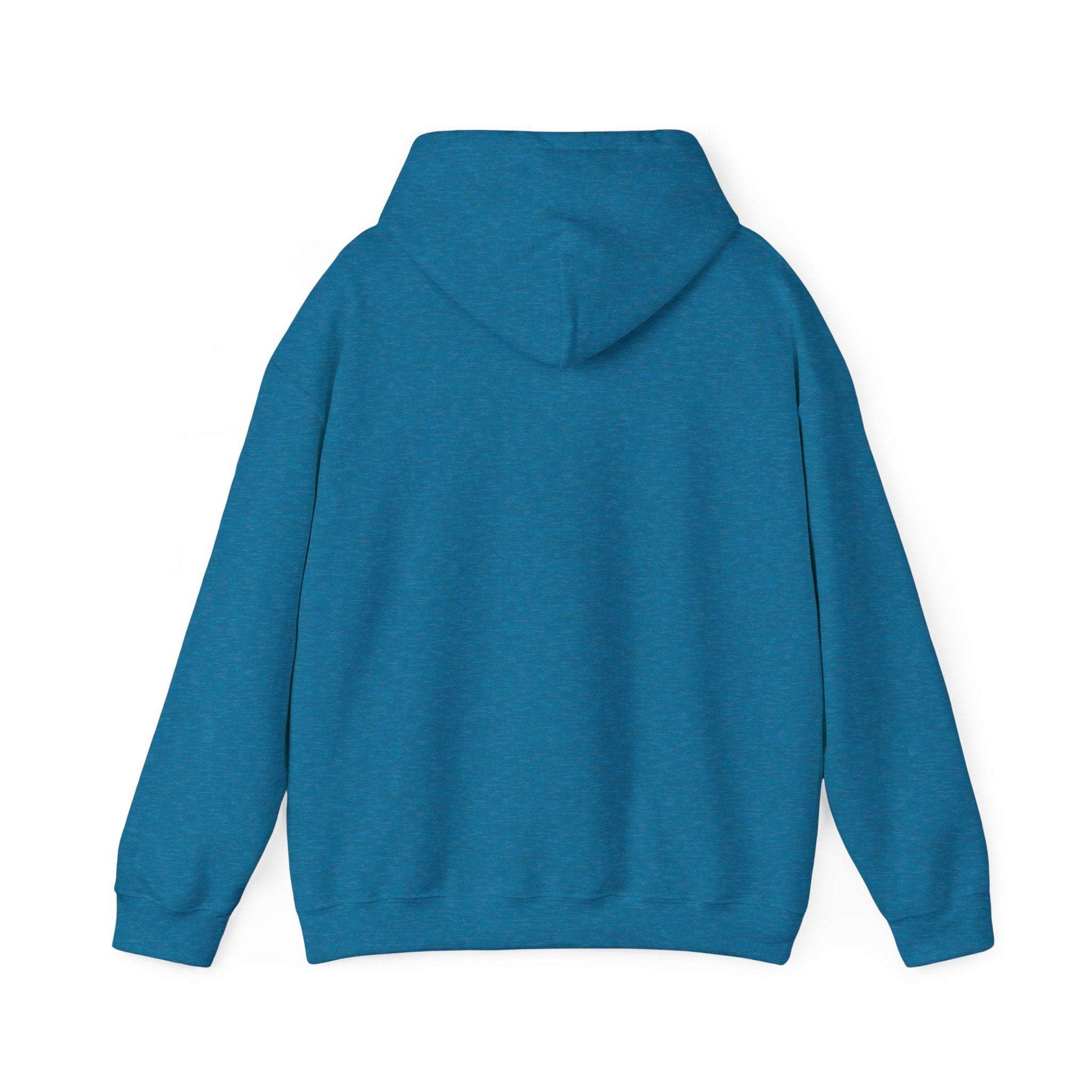 Men's Lightweight Pickleball Hoodie - Pickleball King
